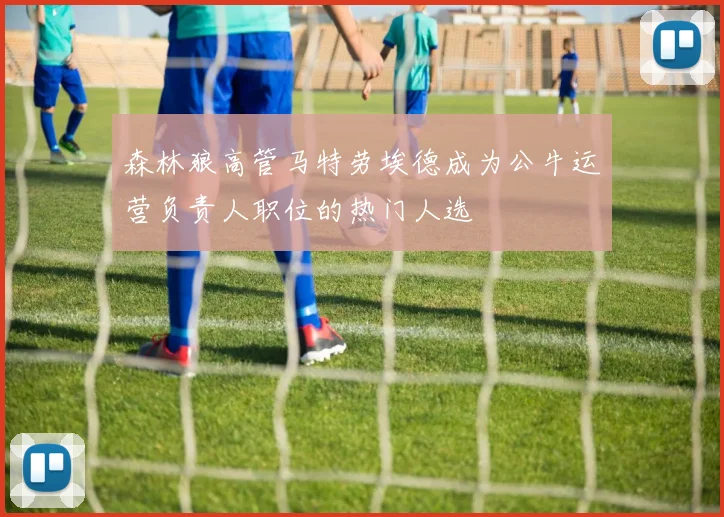 森林狼高管马特劳埃德成为公牛运营负责人职位的热门人选